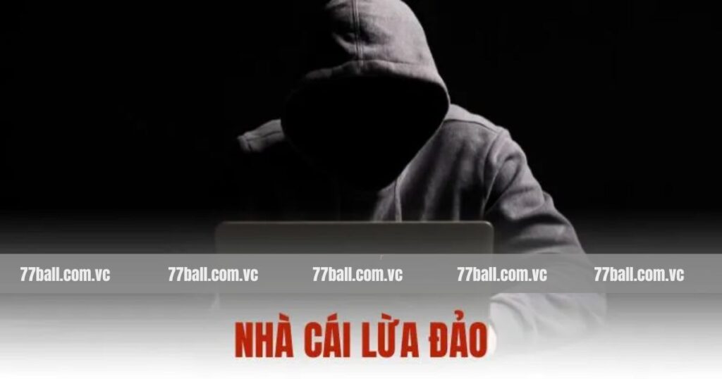 77Ball Lừa Đảo - Sự Thật Về Các Tin Đồn Thất Thiệt